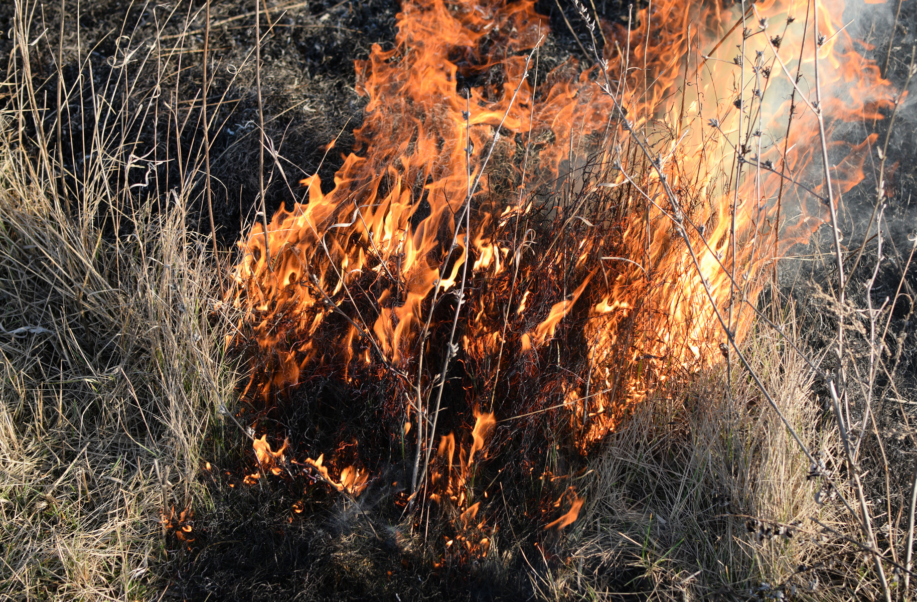 Vadstena Kommun Stor Brandrisk I Östergötland Detta Ska Du Tänka På 